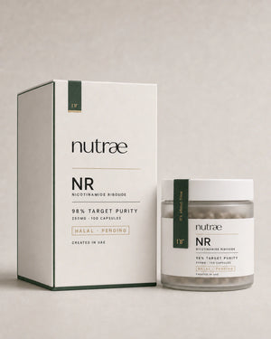 Nicotinamide Riboside Hydrogen Malate
